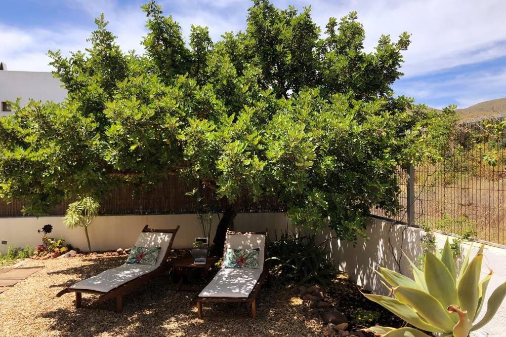 Вілла Casa Granado En Cabo De Gata Родалькілар Екстер'єр фото