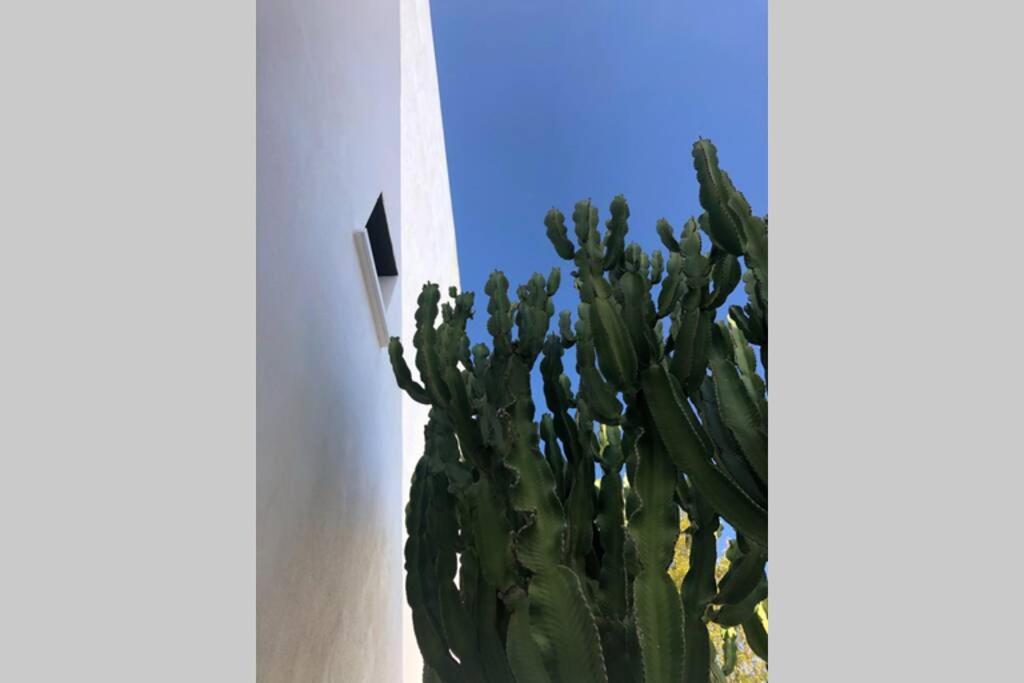 Вілла Casa Granado En Cabo De Gata Родалькілар Екстер'єр фото
